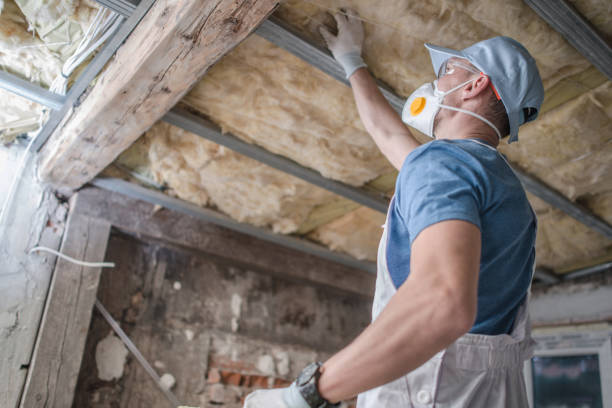 Best Insulation Installation Services in Bowman, ND
