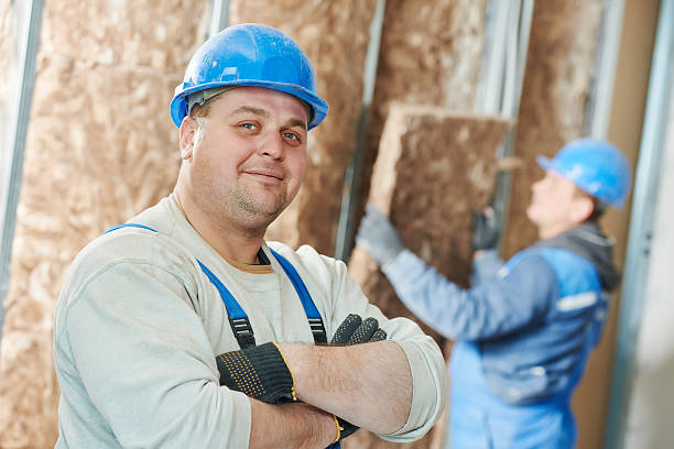 Best Commercial Insulation in Bowman, ND